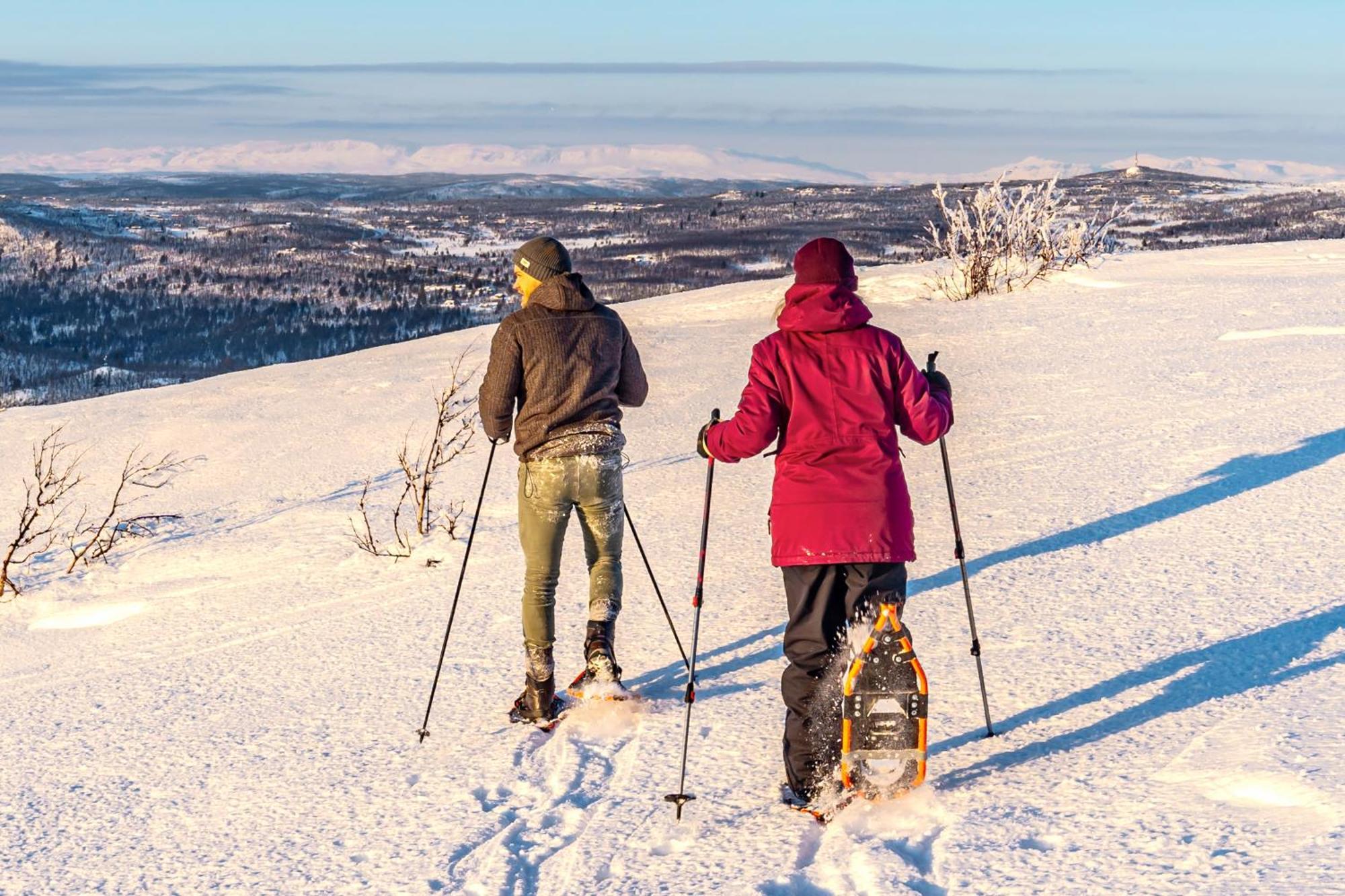 Active Adventure Base - Apartment & Lavvo, Dagali Fjellpark Екстериор снимка